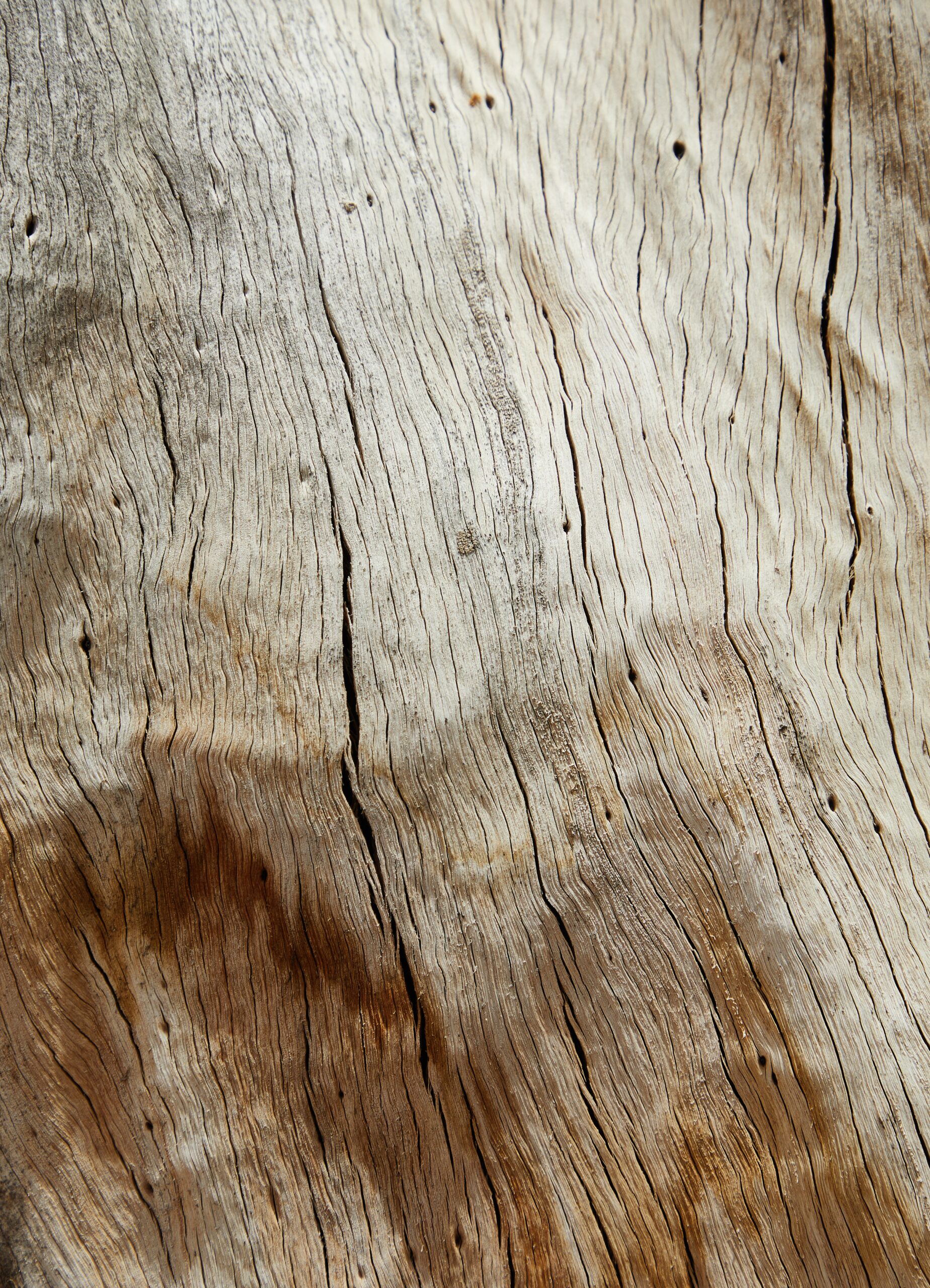 Natural wood texture